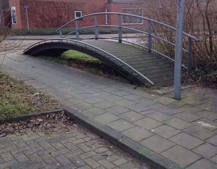 Future Planning?